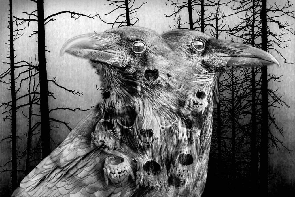 The Trickster - Howard Hunt